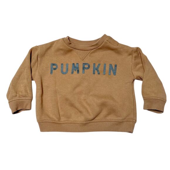 Little Co Pumpkin Crewneck Sweatshrit Size 6m - Picture 1 of 5
